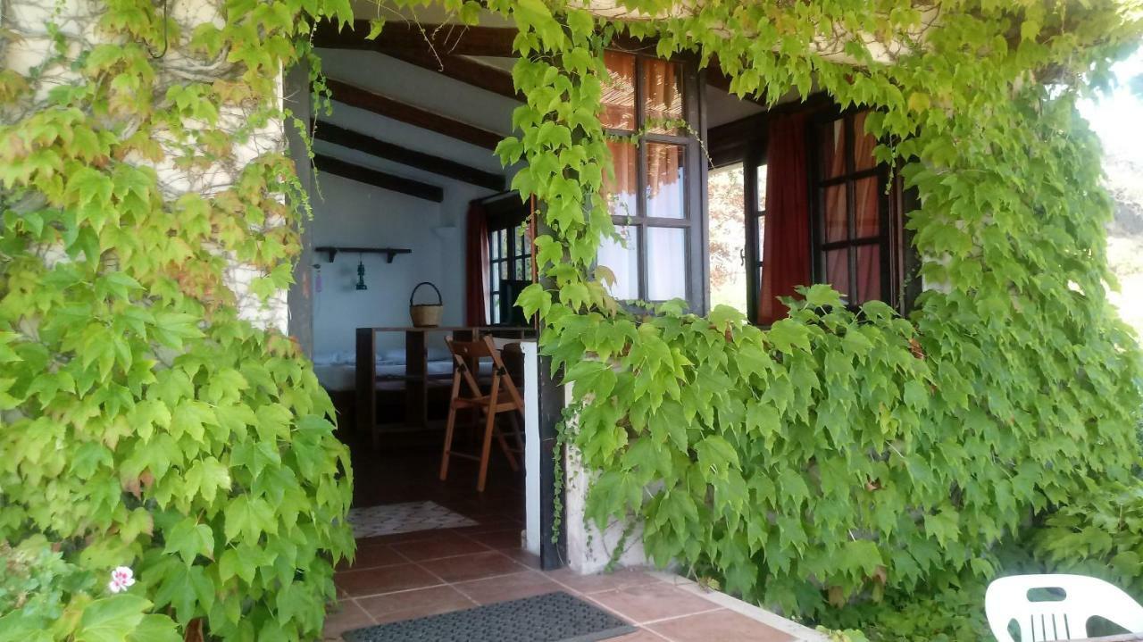 Appartamenti Salato Tropea Exterior foto