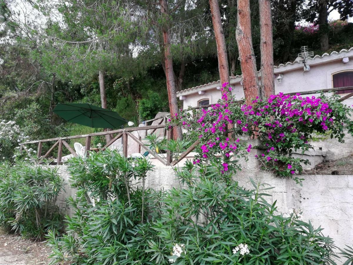 Appartamenti Salato Tropea Exterior foto